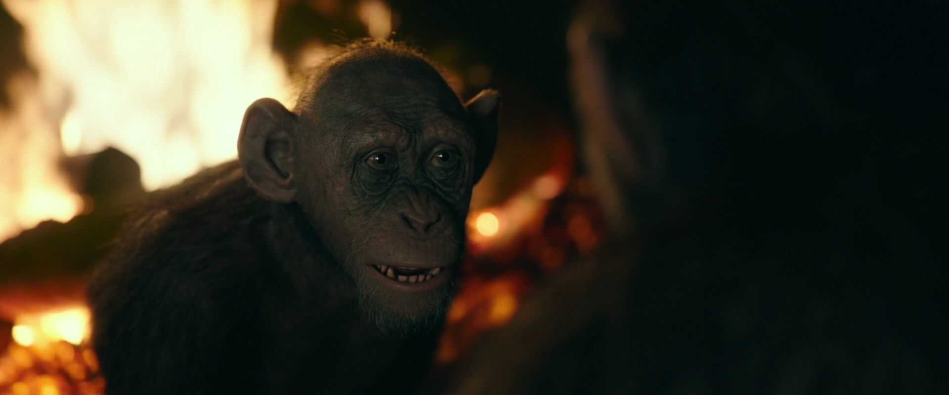 War for the Planet of the Apes (2017) screencap 5670