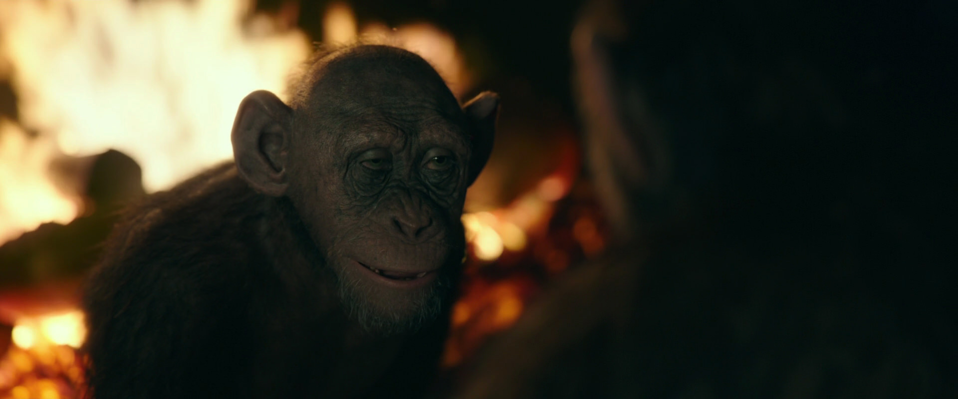 War for the Planet of the Apes (2017) movie still 5671