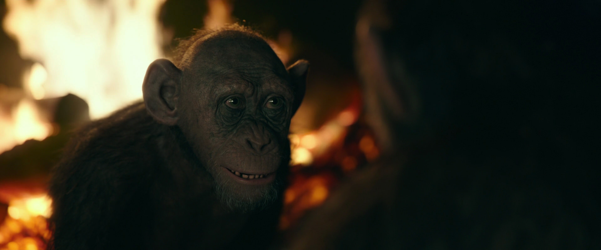 War for the Planet of the Apes (2017) screencap 5673