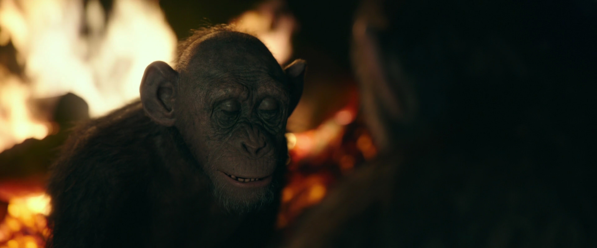 War for the Planet of the Apes (2017) movie still 5674