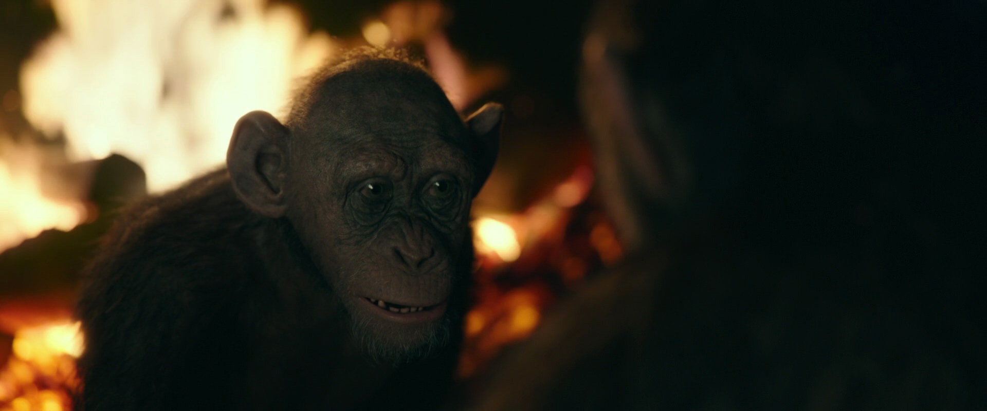 War for the Planet of the Apes (2017) screencap 5676