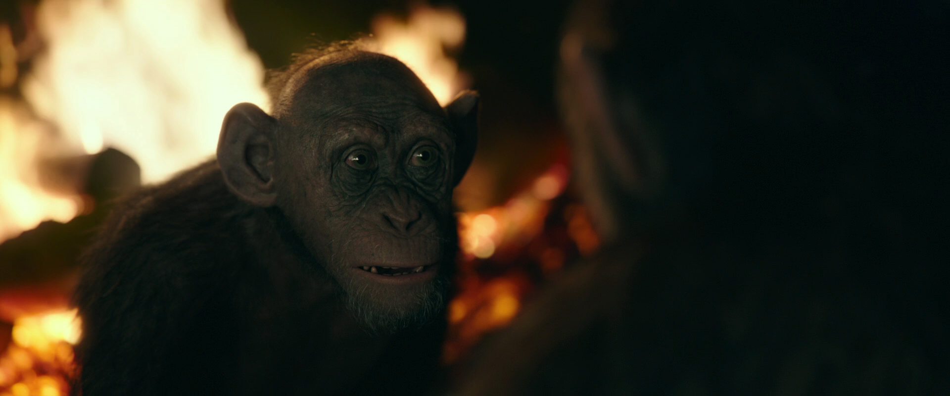 War for the Planet of the Apes (2017) movie still 5677