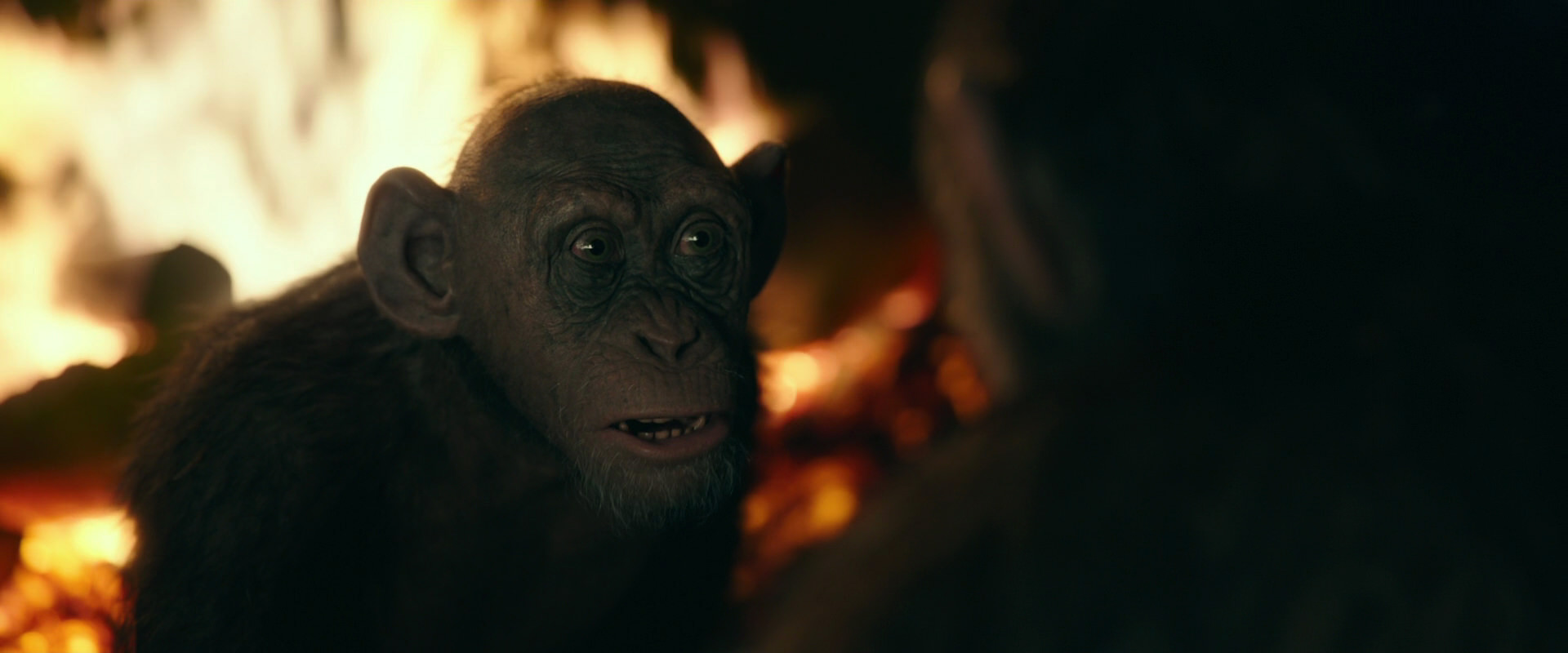 War for the Planet of the Apes (2017) HD screenshot 5678