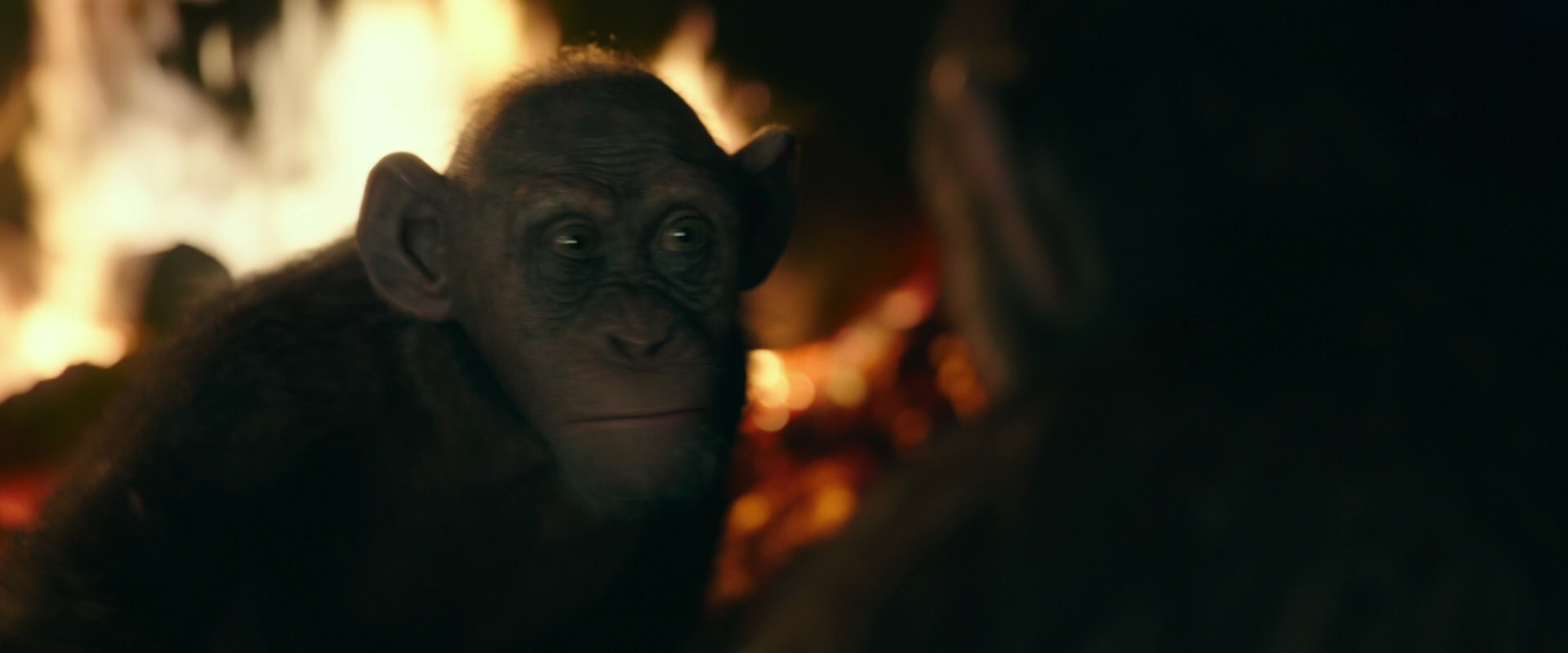 War for the Planet of the Apes (2017) screencap 5679