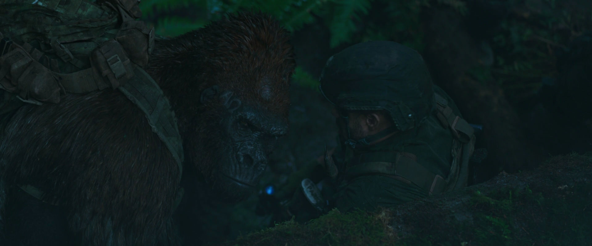 War for the Planet of the Apes (2017) movie still 568