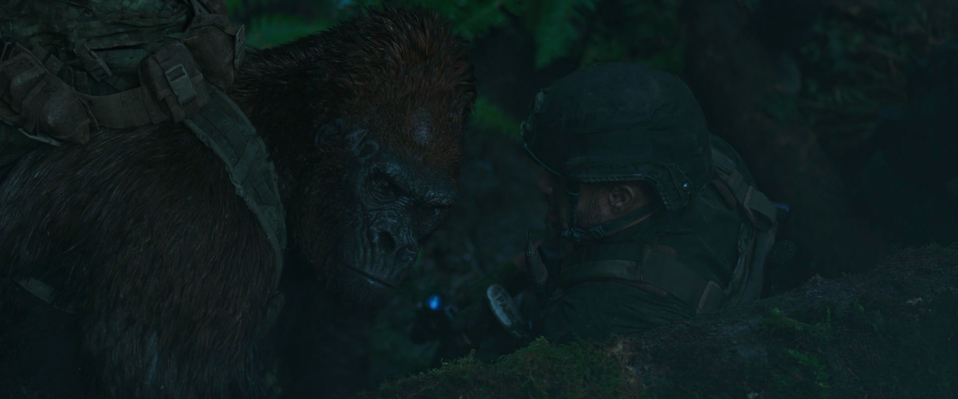 War for the Planet of the Apes (2017) HD screenshot 569