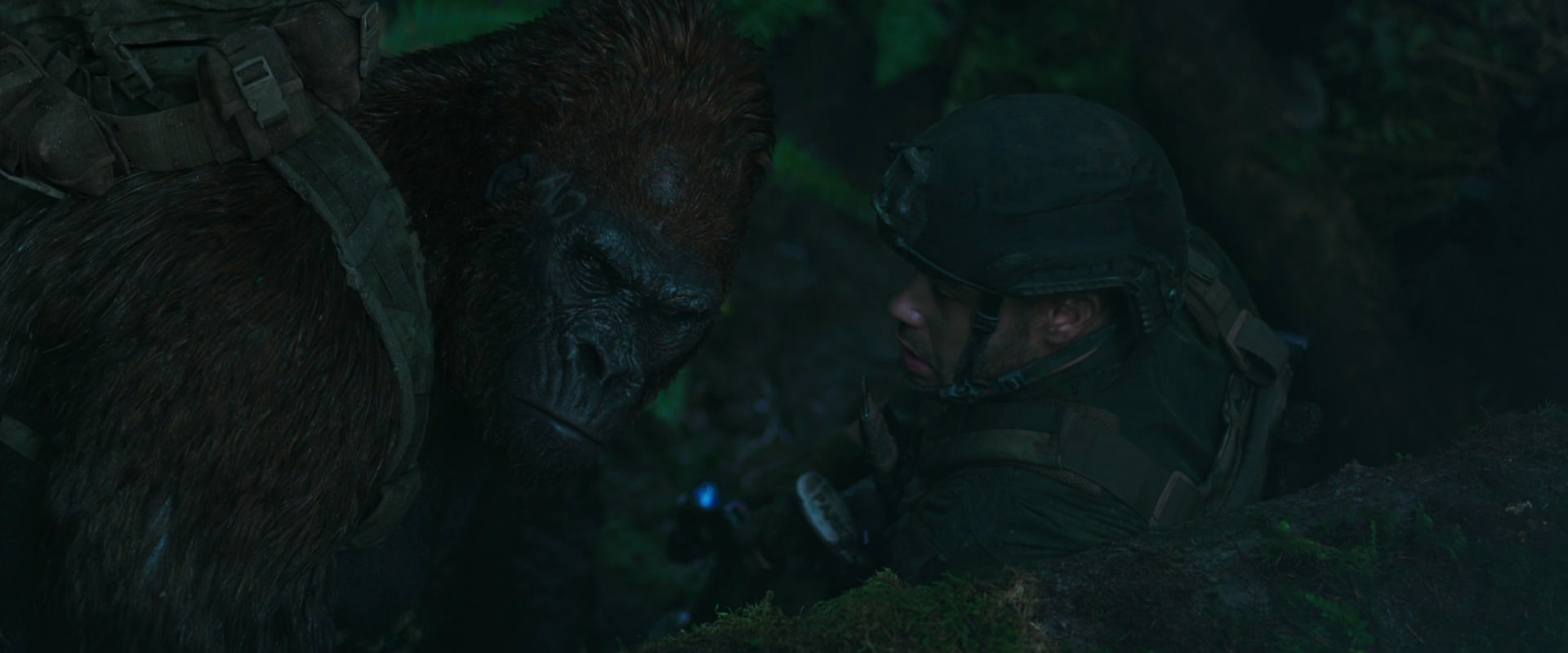 War for the Planet of the Apes (2017) movie still 571