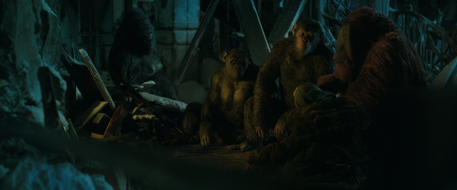 War for the Planet of the Apes (2017) movie still 5719