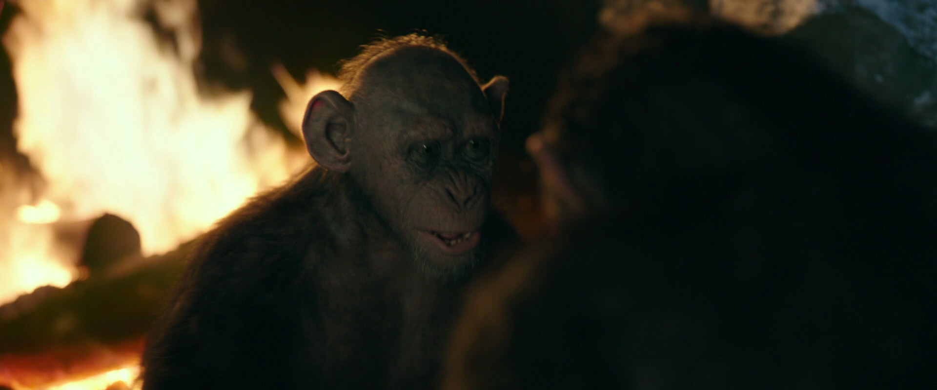 War for the Planet of the Apes (2017) movie still 5743