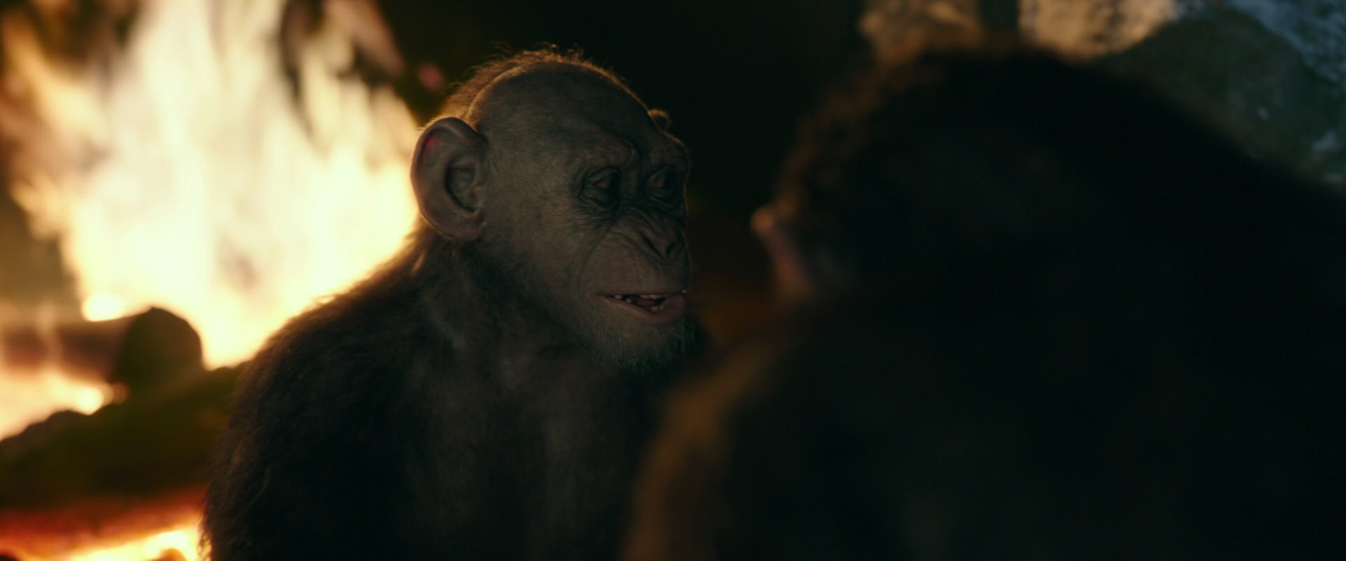 War for the Planet of the Apes (2017) screencap 5745