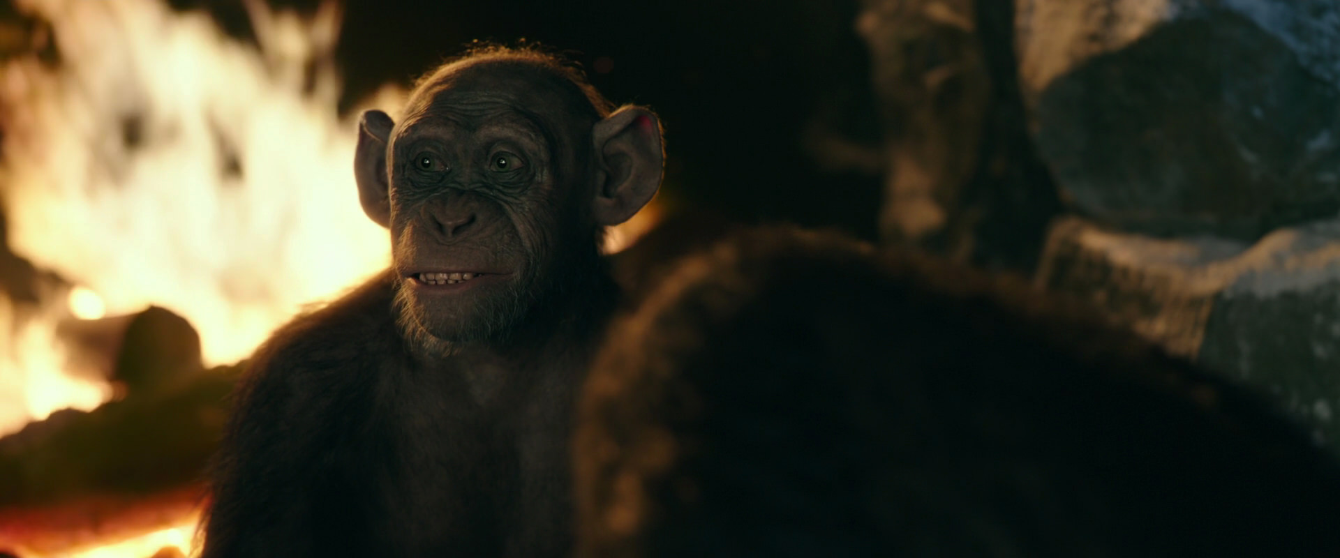War for the Planet of the Apes (2017) screencap 5748