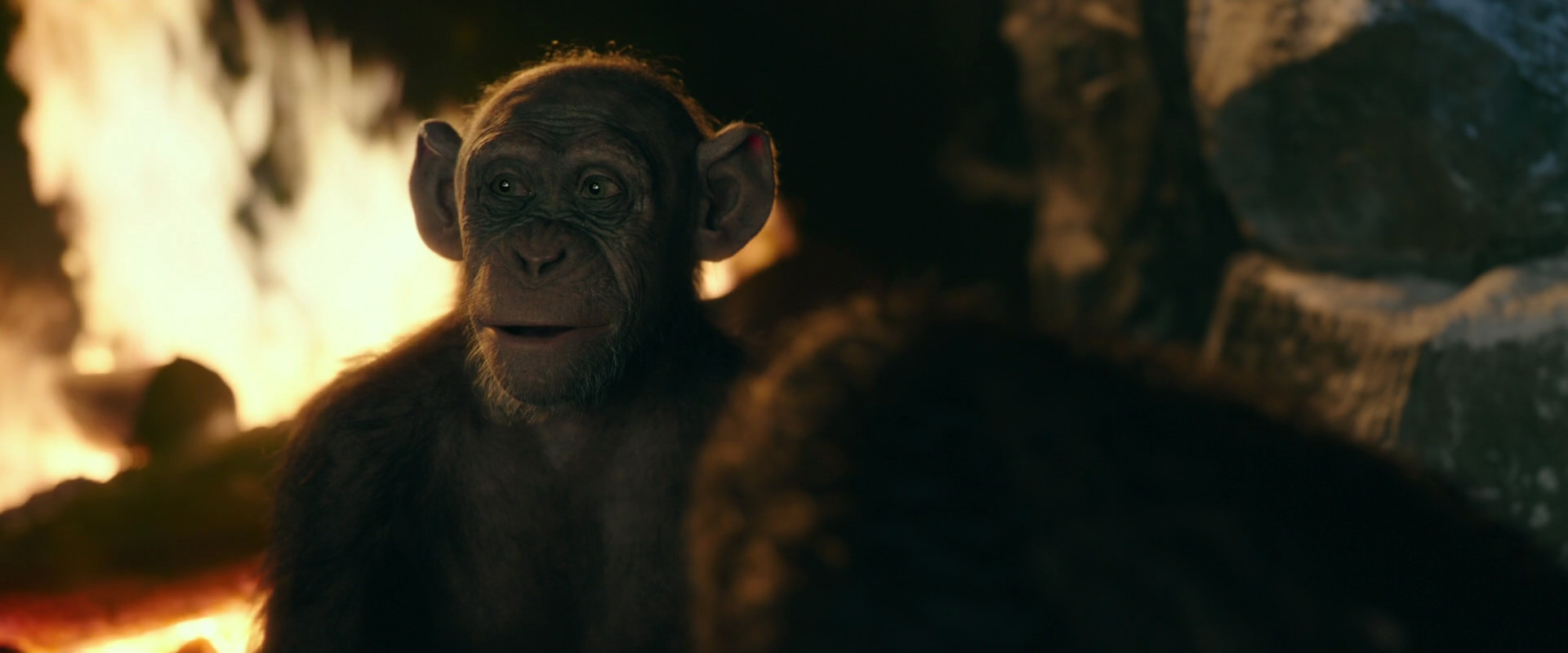 War for the Planet of the Apes (2017) movie still 5749