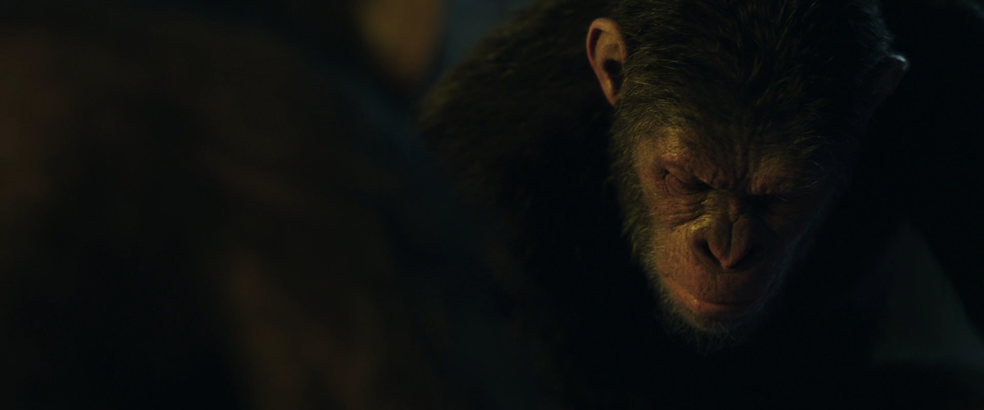 War for the Planet of the Apes (2017) screencap 5751