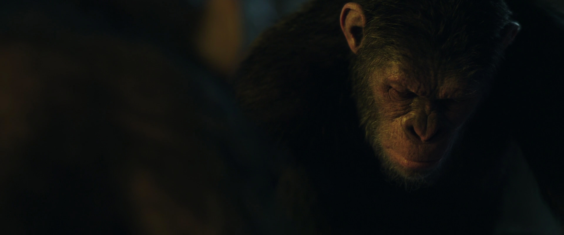 War for the Planet of the Apes (2017) movie still 5752