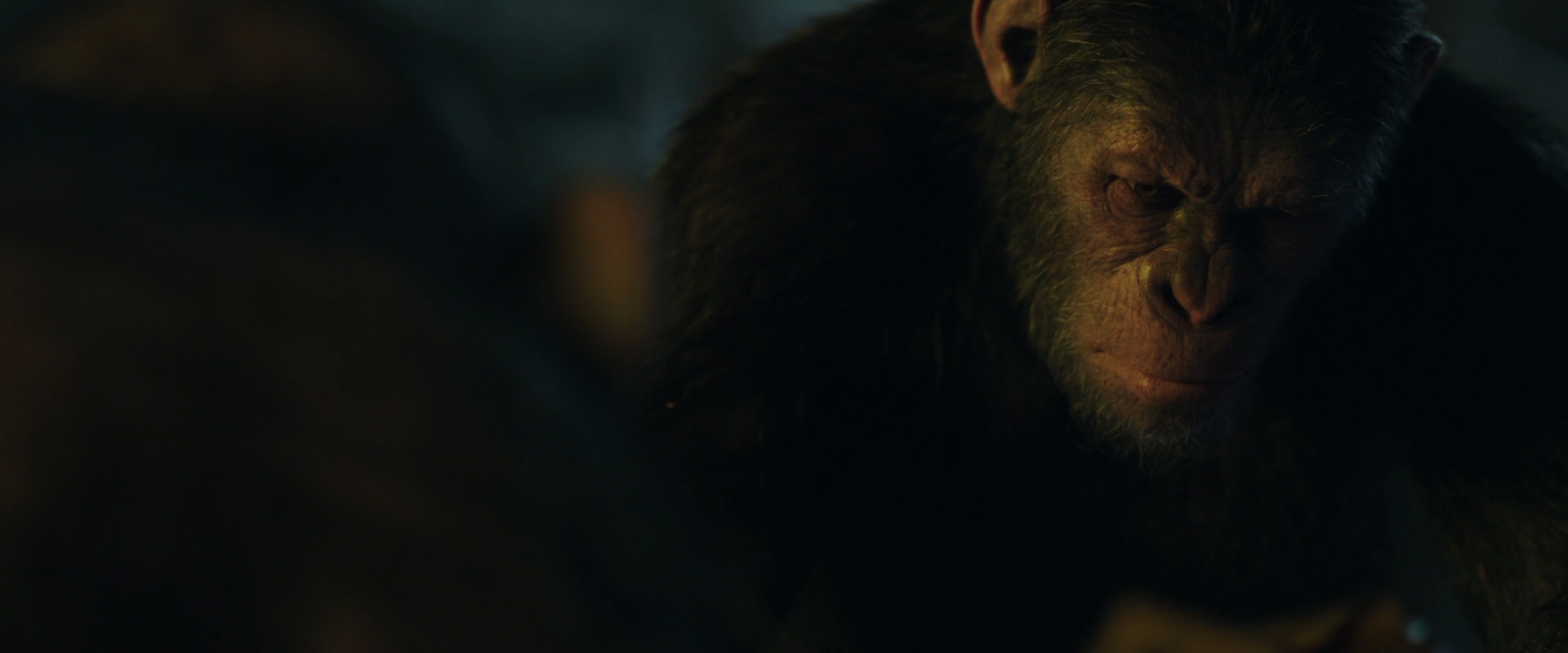 War for the Planet of the Apes (2017) screencap 5754