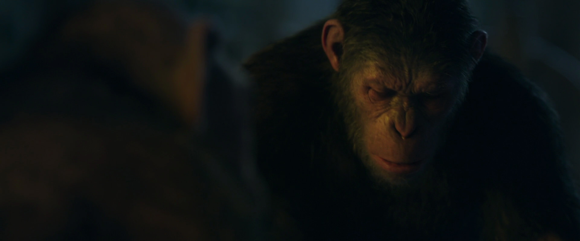 War for the Planet of the Apes (2017) screencap 5763