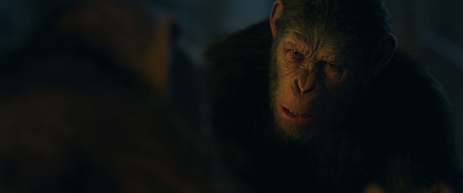 War for the Planet of the Apes (2017) movie still 5764