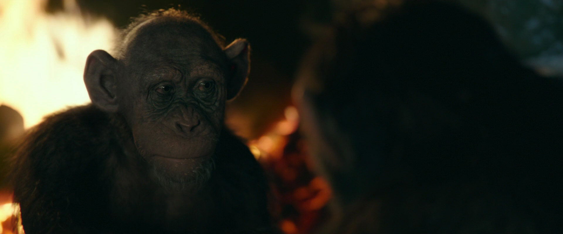 War for the Planet of the Apes (2017) HD screenshot 5765