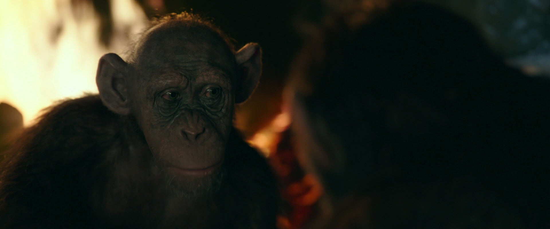 War for the Planet of the Apes (2017) screencap 5766