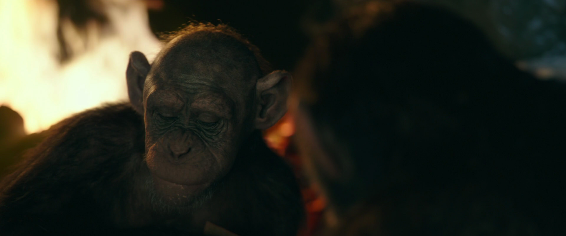 War for the Planet of the Apes (2017) movie still 5767