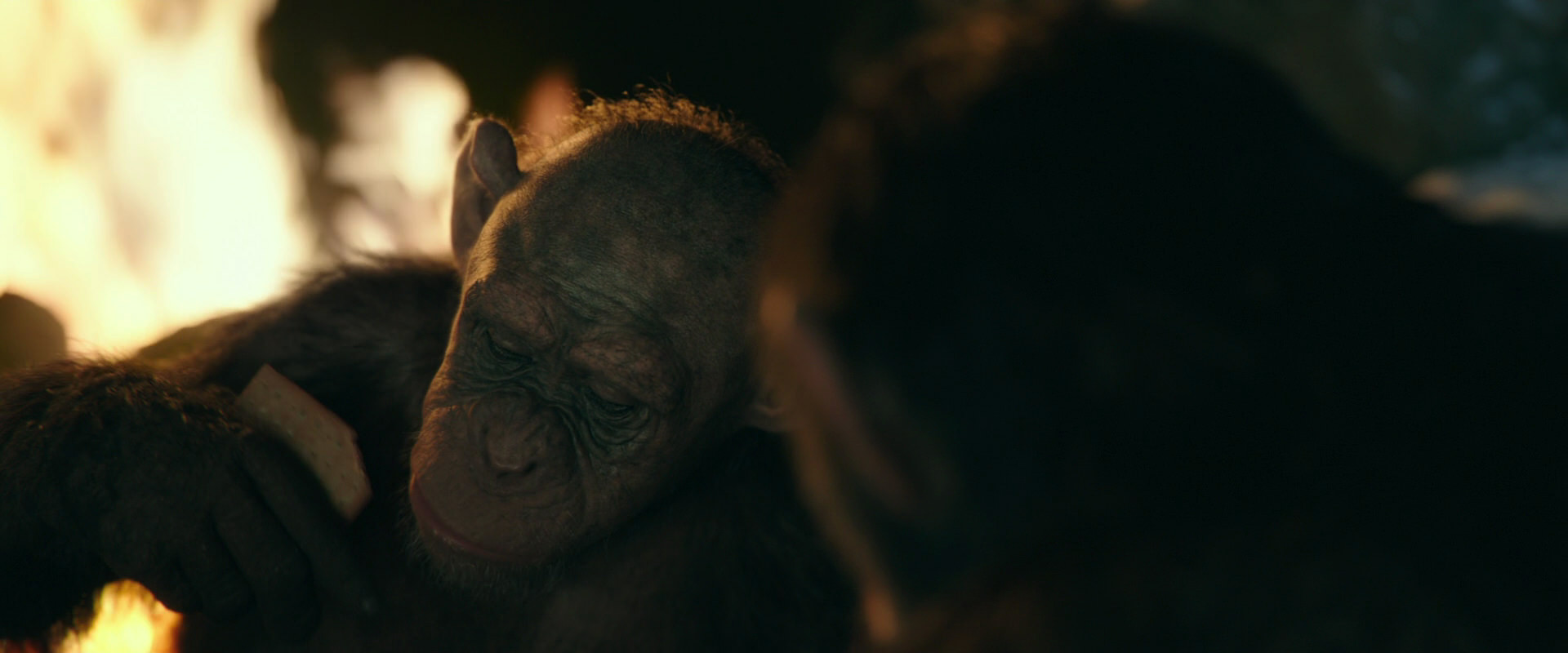 War for the Planet of the Apes (2017) screencap 5769