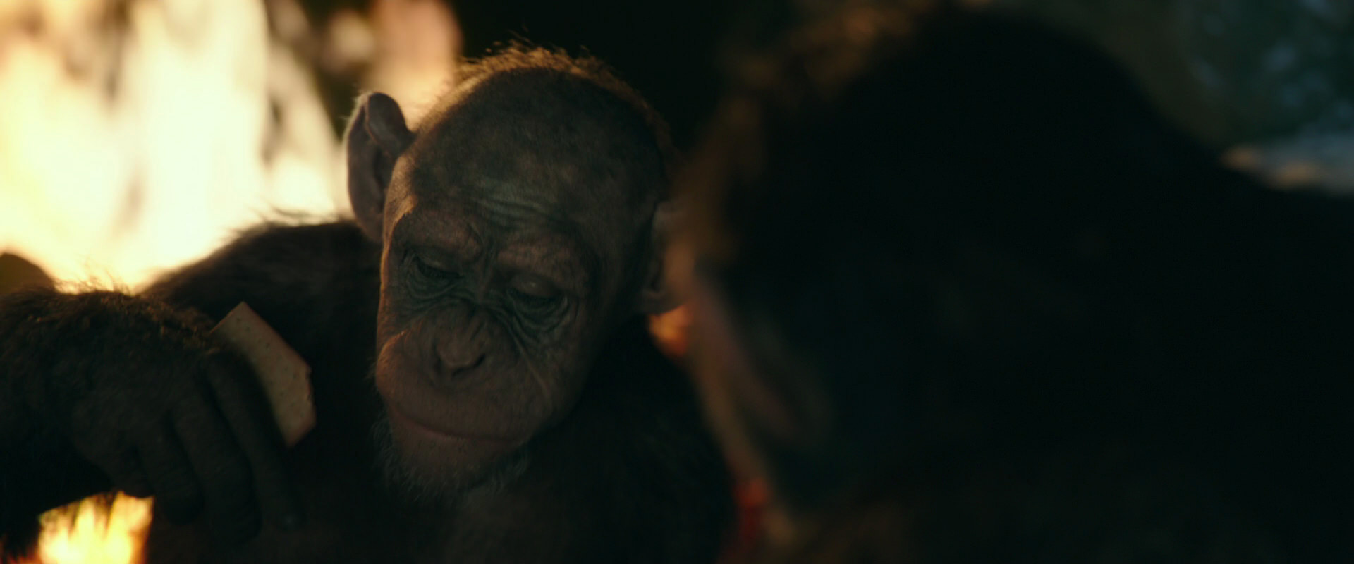 War for the Planet of the Apes (2017) movie still 5770