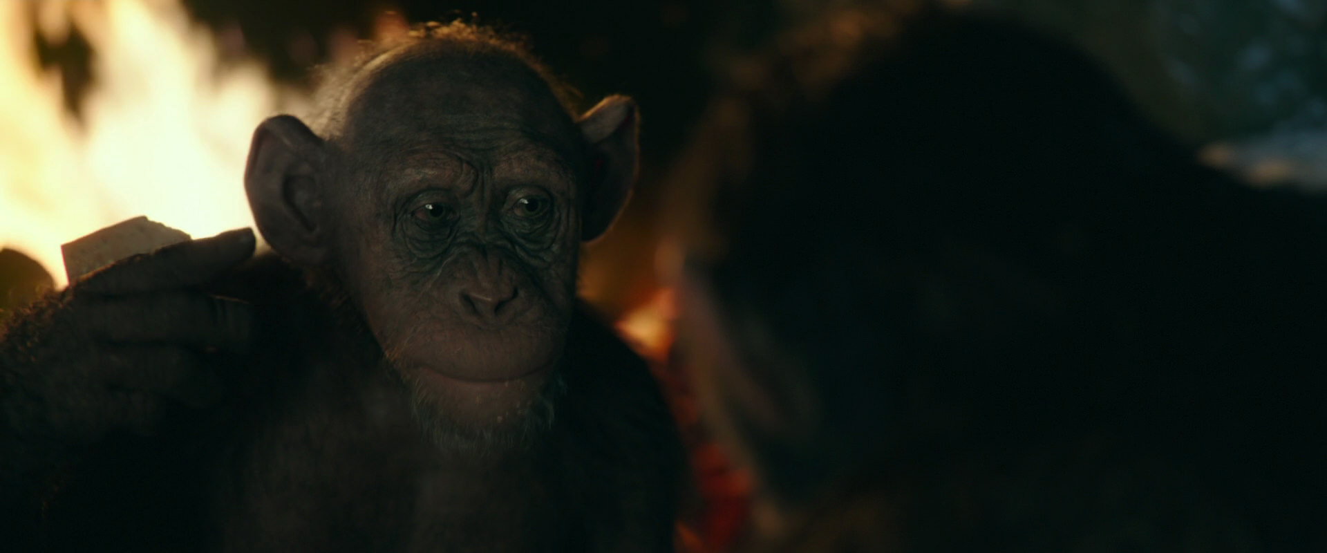 War for the Planet of the Apes (2017) HD screenshot 5771