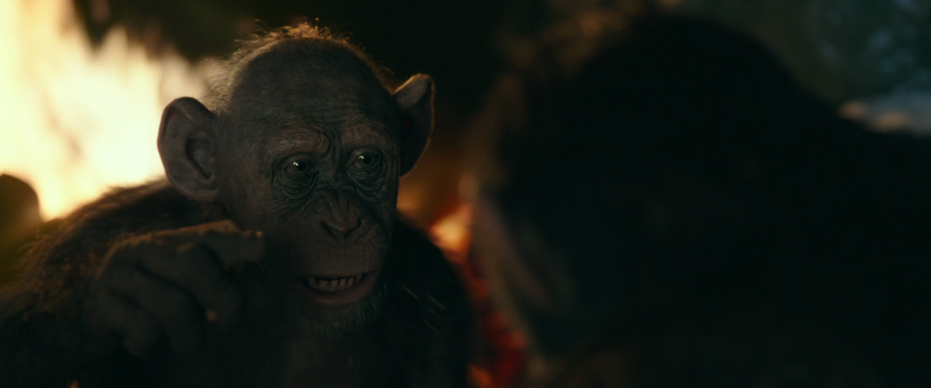 War for the Planet of the Apes (2017) screencap 5772