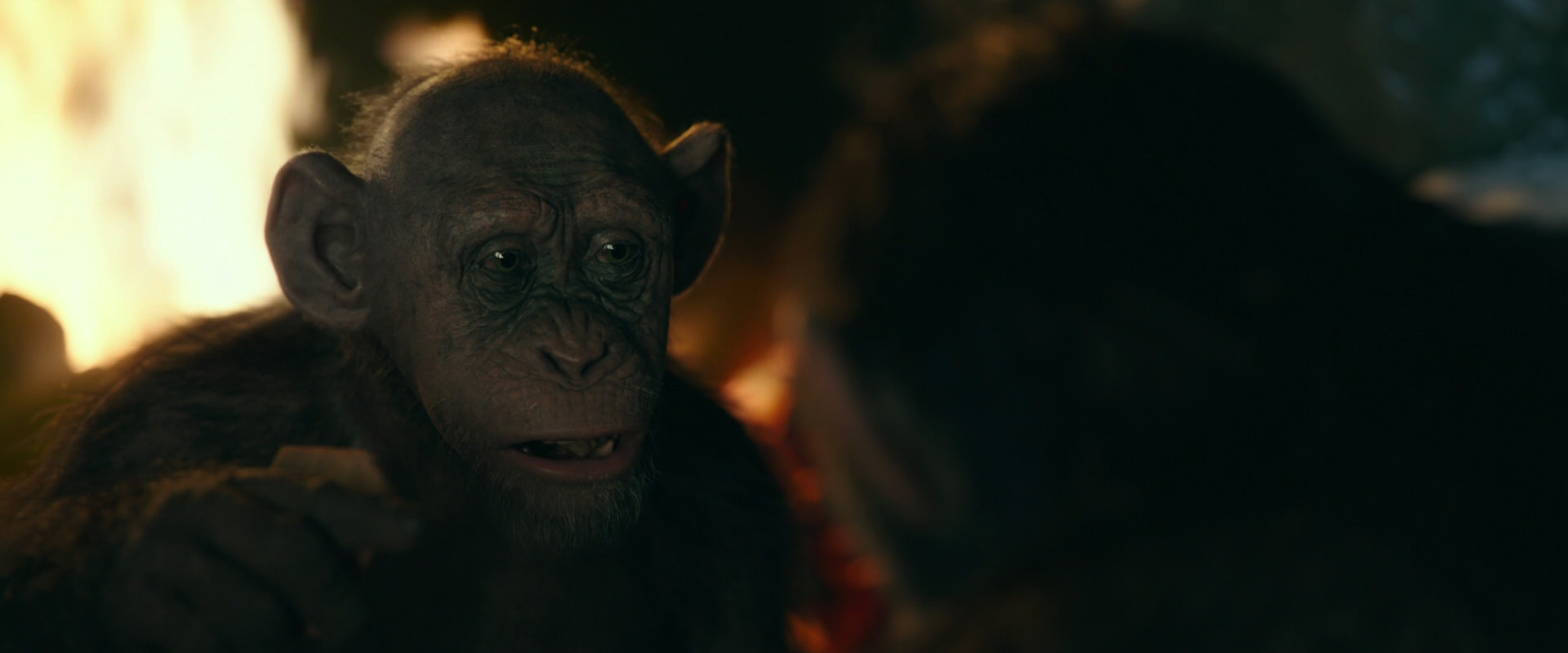 War for the Planet of the Apes (2017) movie still 5773