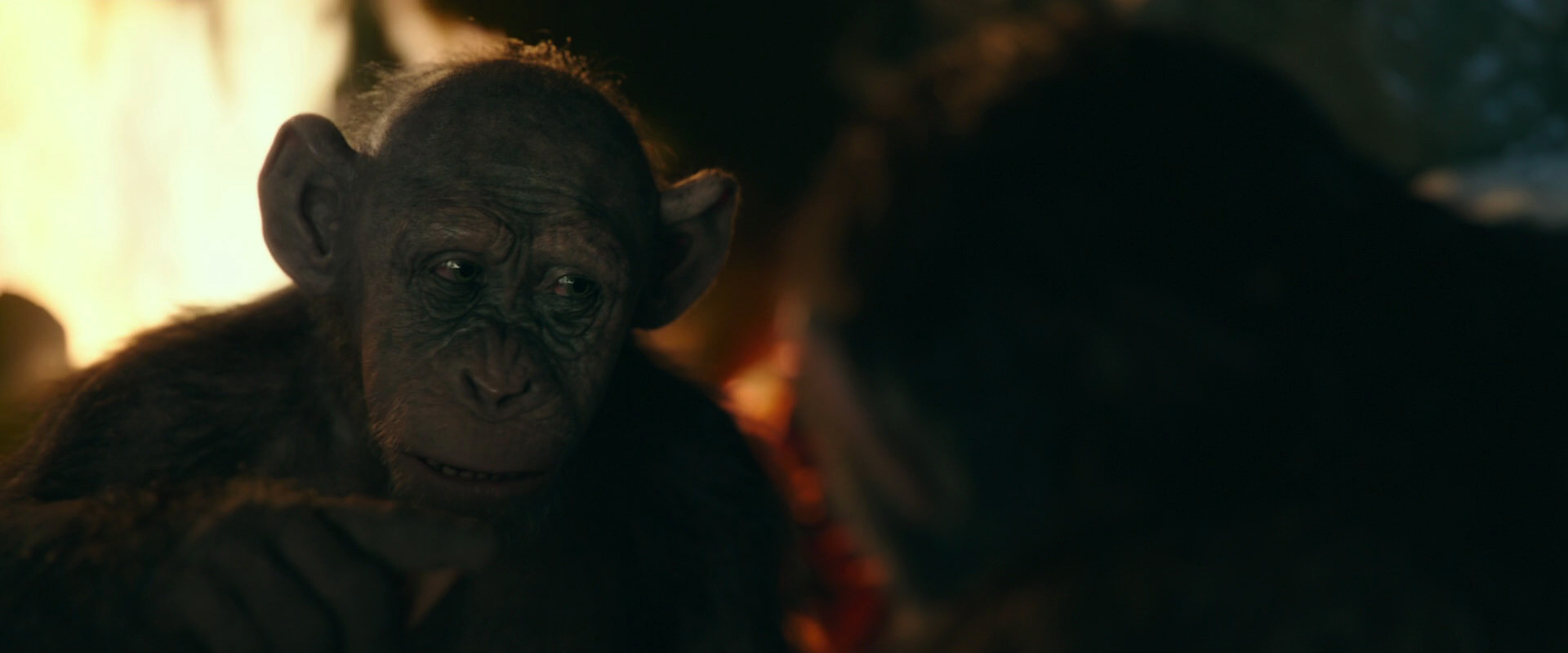 War for the Planet of the Apes (2017) screencap 5775