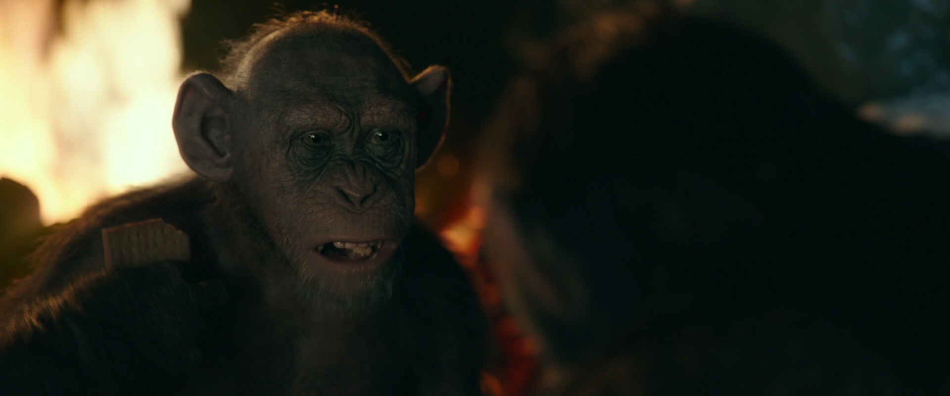 War for the Planet of the Apes (2017) movie still 5776
