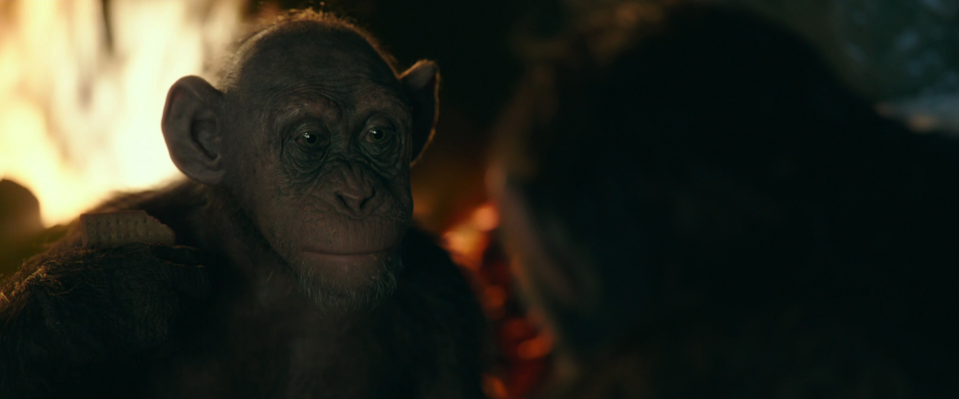 War for the Planet of the Apes (2017) screencap 5778
