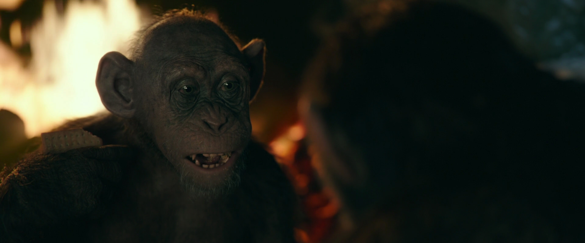 War for the Planet of the Apes (2017) movie still 5779