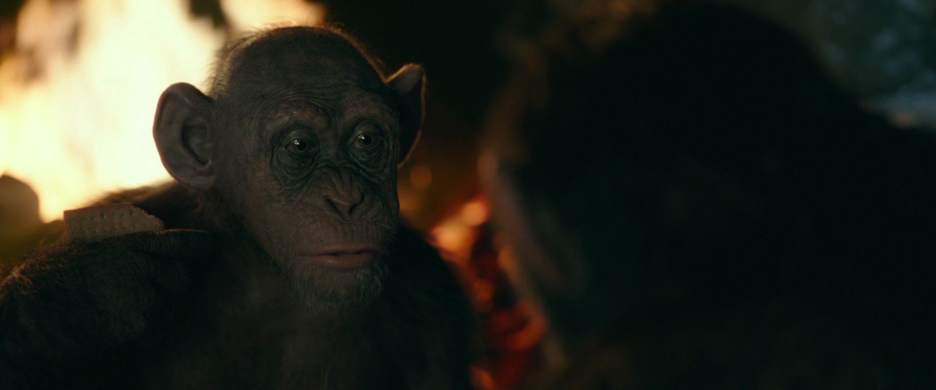 War for the Planet of the Apes (2017) HD screenshot 5780
