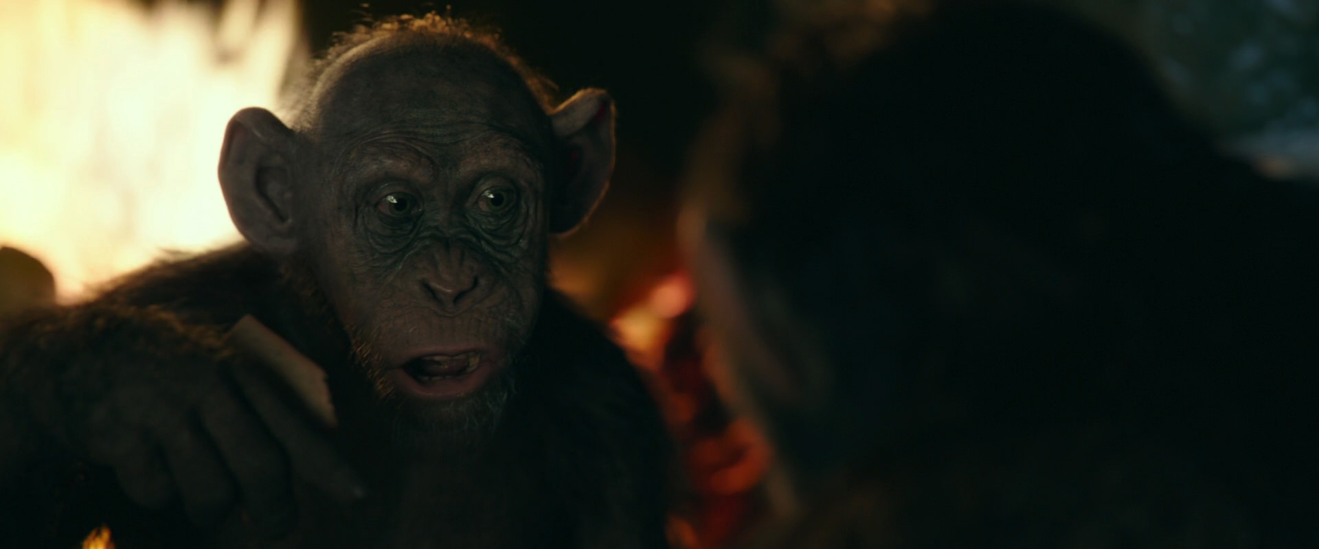 War for the Planet of the Apes (2017) screencap 5781