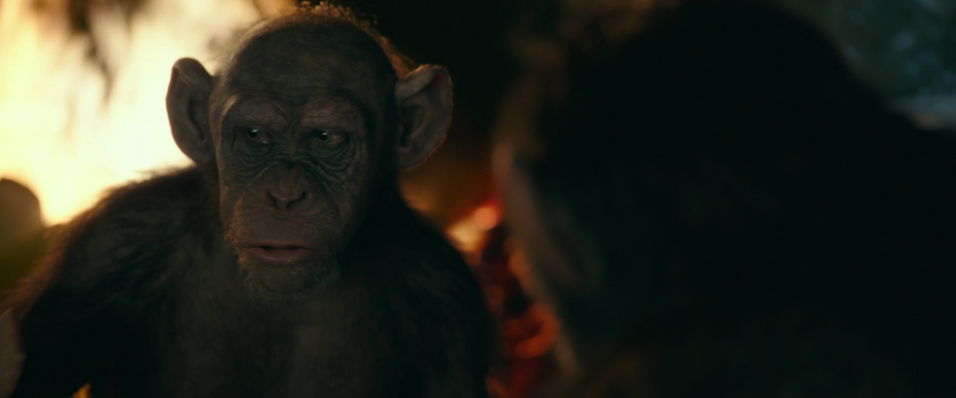 War for the Planet of the Apes (2017) movie still 5782