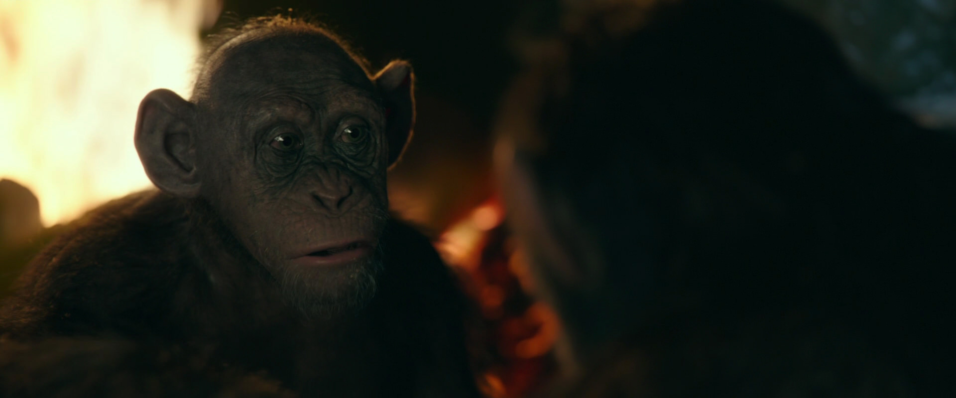 War for the Planet of the Apes (2017) screencap 5784