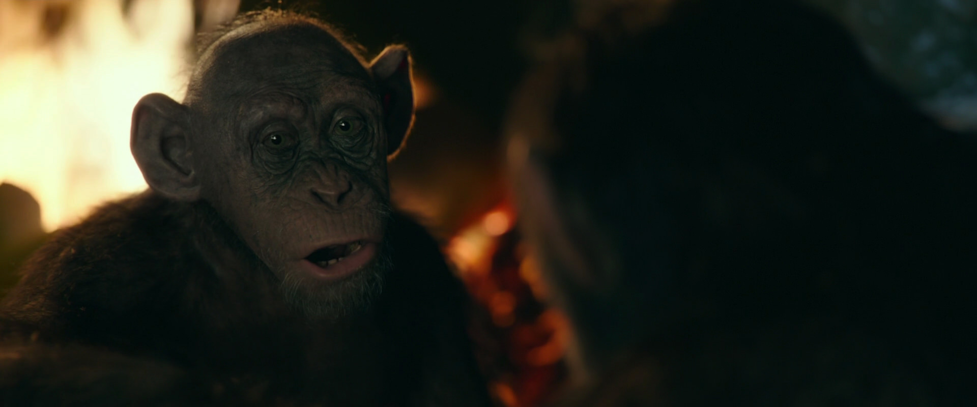 War for the Planet of the Apes (2017) screencap 5787