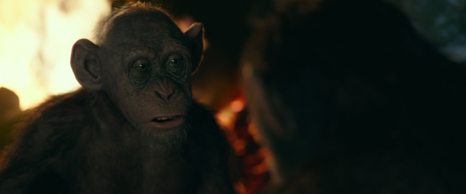 War for the Planet of the Apes (2017) movie still 5788