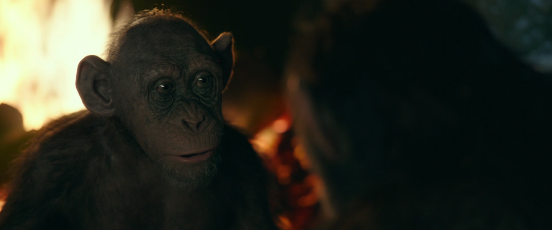 War for the Planet of the Apes (2017) HD screenshot 5789