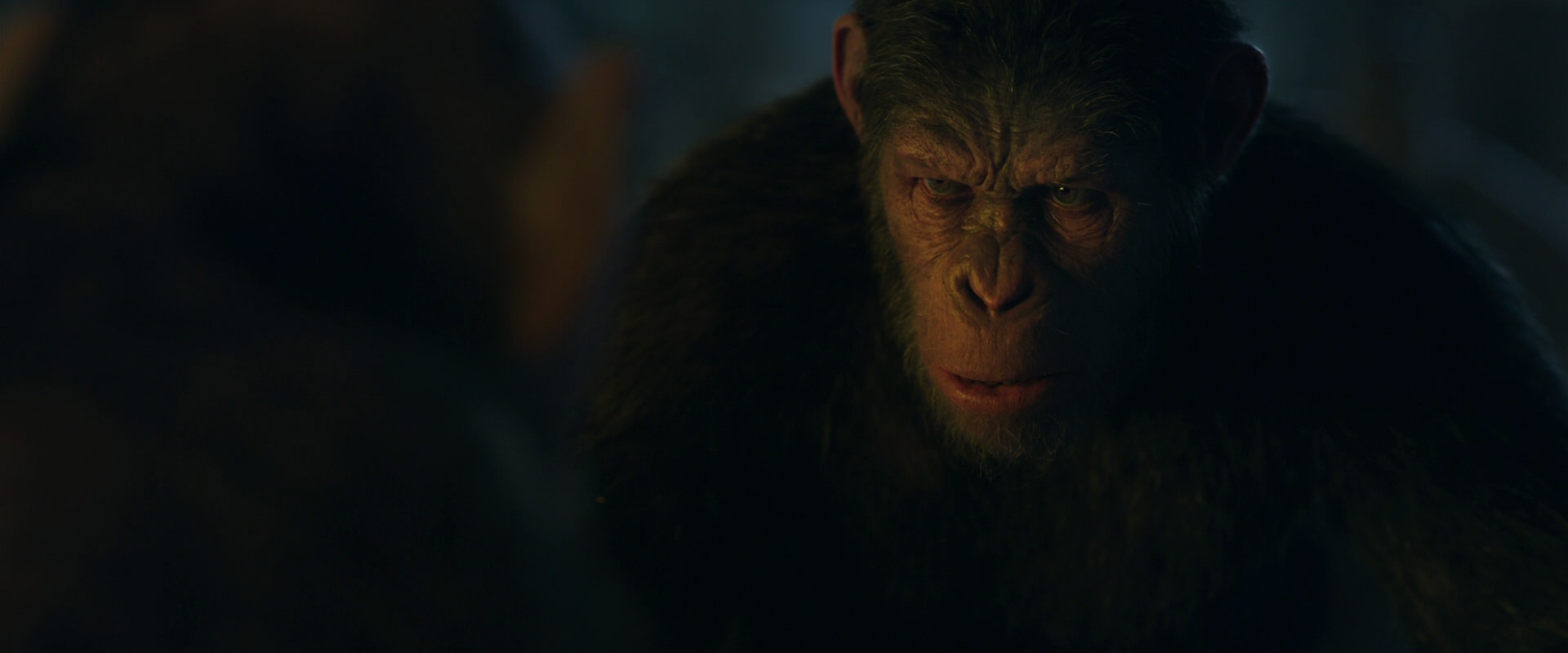 War for the Planet of the Apes (2017) screencap 5790