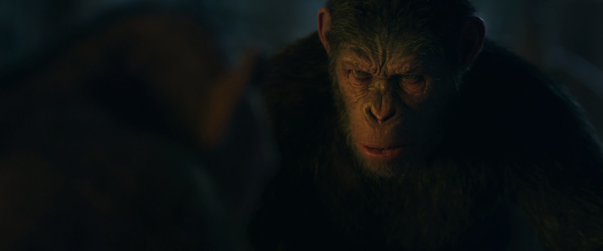 War for the Planet of the Apes (2017) movie still 5791