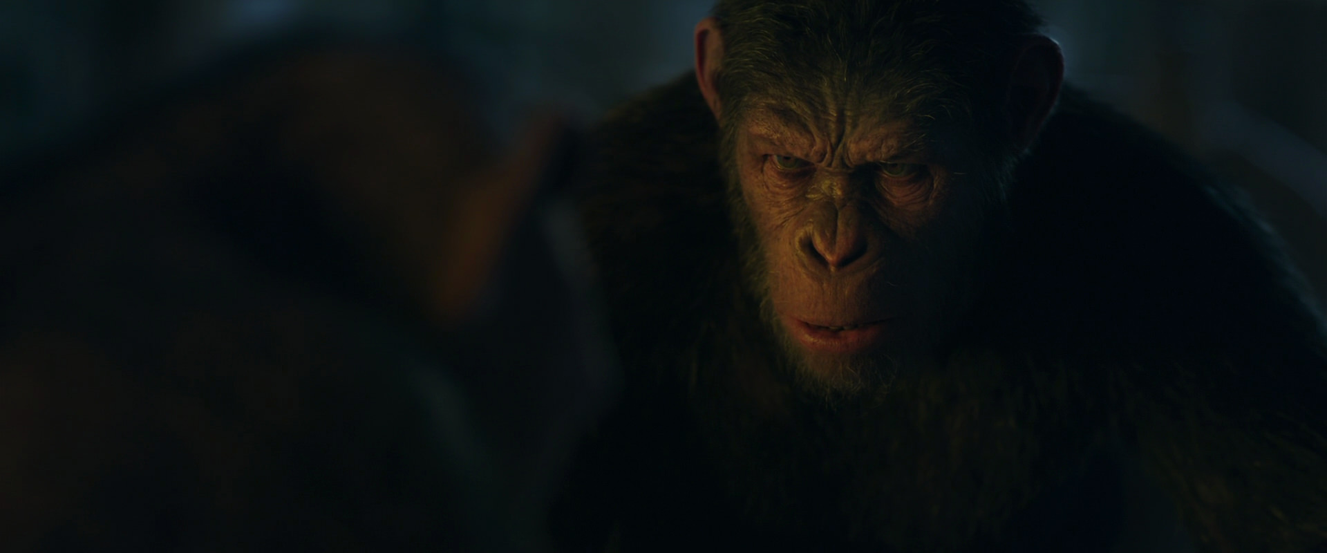 War for the Planet of the Apes (2017) HD screenshot 5792