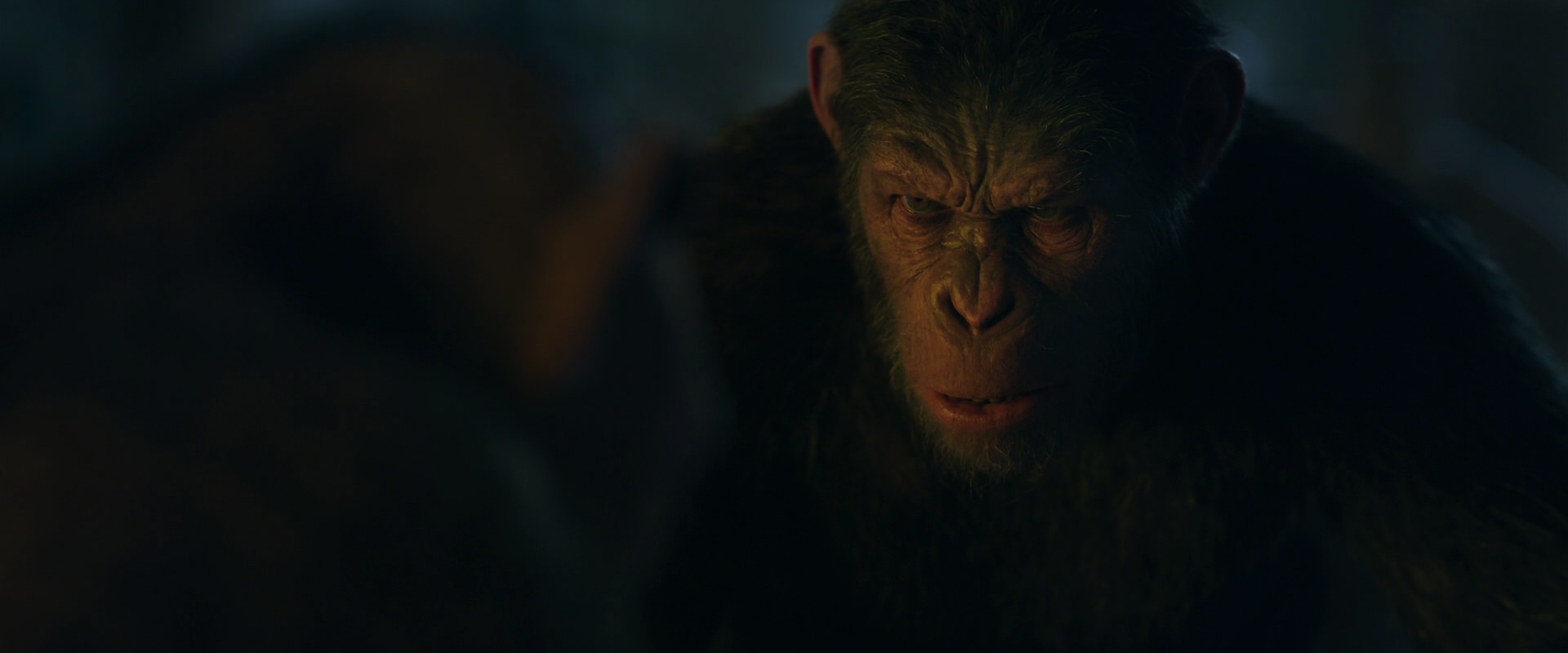 War for the Planet of the Apes (2017) screencap 5793