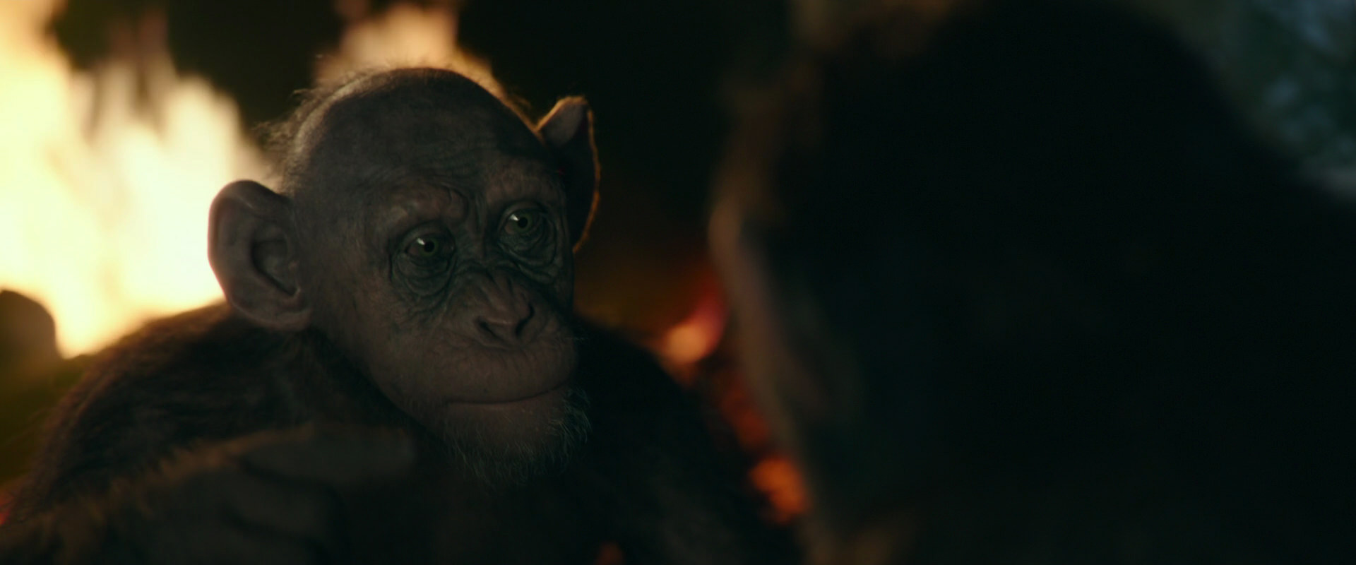 War for the Planet of the Apes (2017) movie still 5794