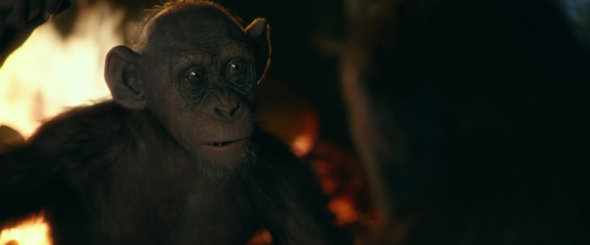 War for the Planet of the Apes (2017) HD screenshot 5795