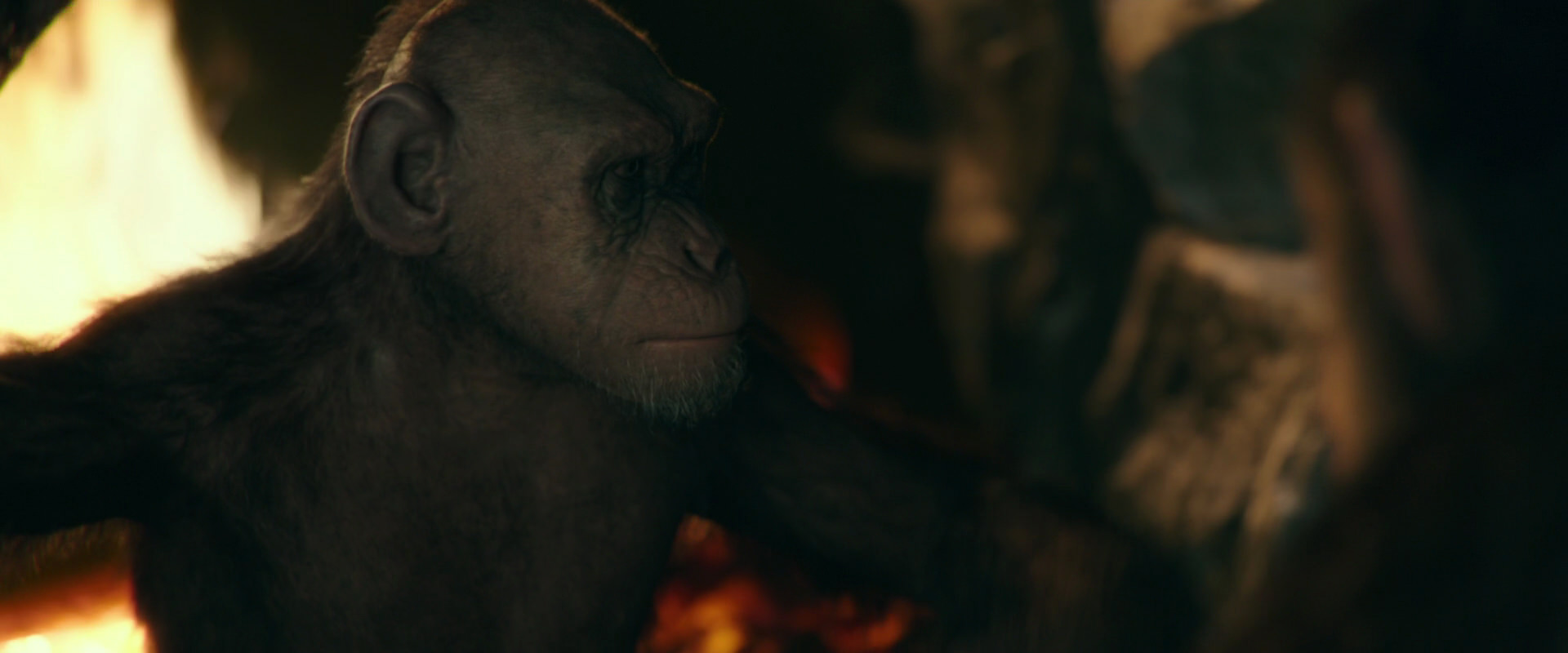 War for the Planet of the Apes (2017) screencap 5796