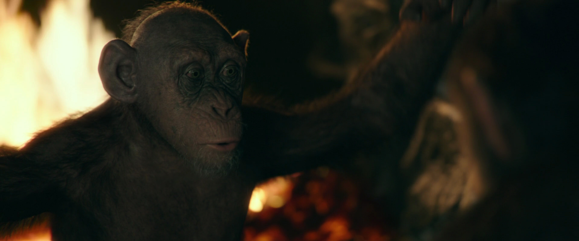 War for the Planet of the Apes (2017) movie still 5797