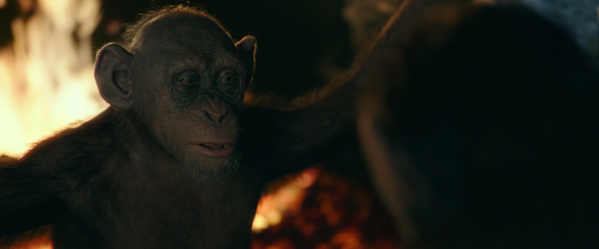 War for the Planet of the Apes (2017) HD screenshot 5798