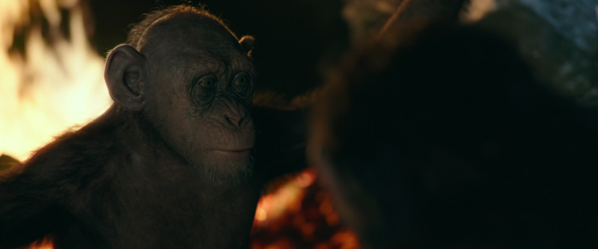 War for the Planet of the Apes (2017) screencap 5799
